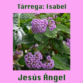 Tárrega: Isabel by Jesús Ángel