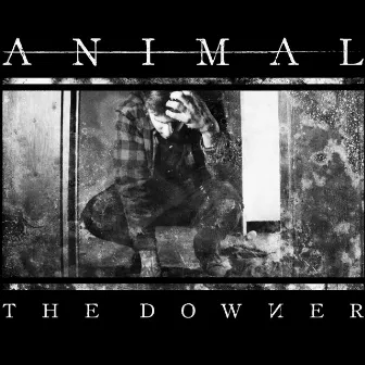 The Downer by Animal