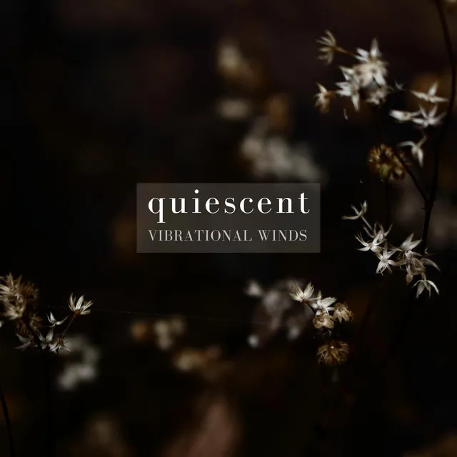 Quiescent