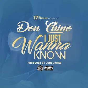 I Just Wanna Know by Donchino