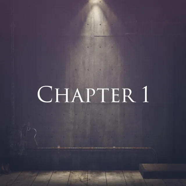 Chapter 1