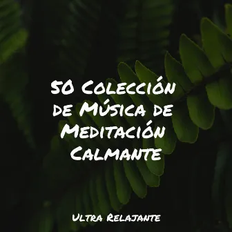 50 Colección de Música de Meditación Calmante by Relajar