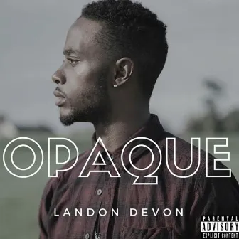 Opaque by Landon DeVon