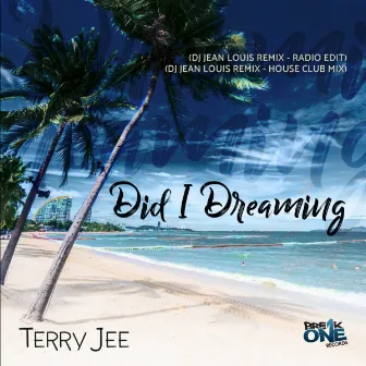 Did I Dreaming by Terry Jee