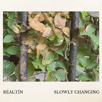 Slowly Changing by David Owens