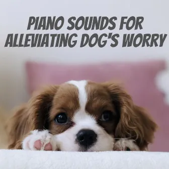 Piano Sounds for Alleviating Dog's Worry by Peaceful Piano Jazz