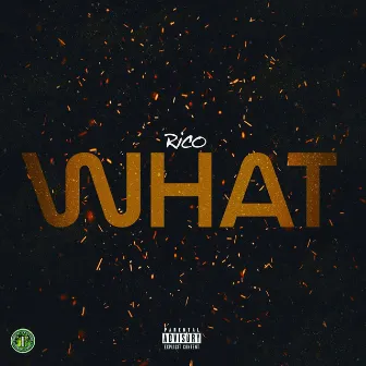 What by Rico