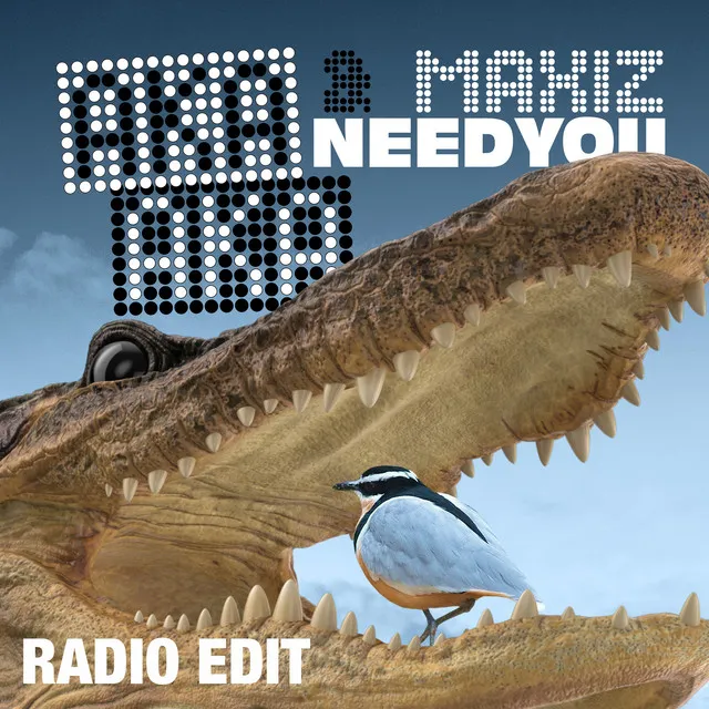 Need You - Radio Edit