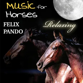 Music for Horses - Relaxing by Felix Pando