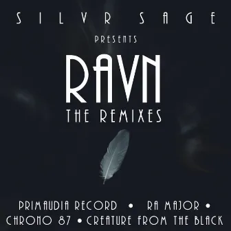 Ravn: The Remixes by Silvr Sage