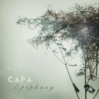 Epiphany by Capa