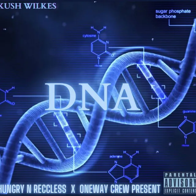 Dna