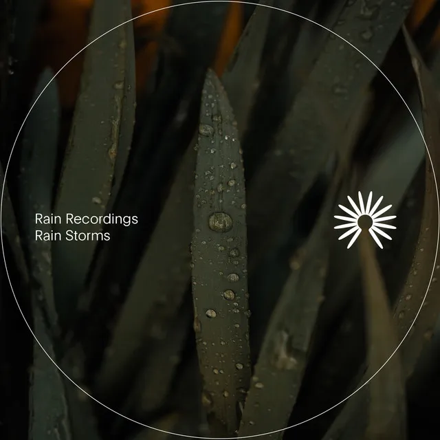 Rain Recordings