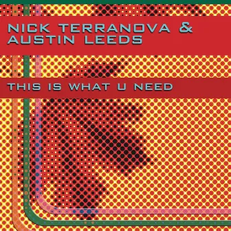 This Is What U Need by Nick Terranova