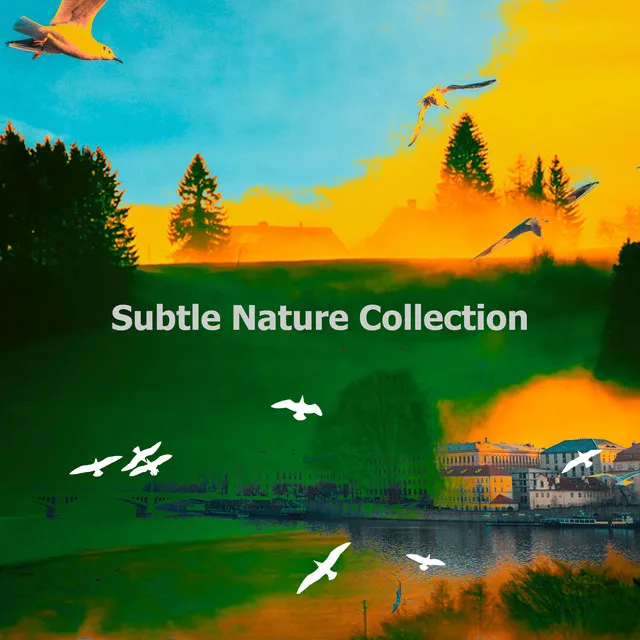 Subtle Nature Collection