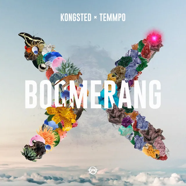 Boomerang