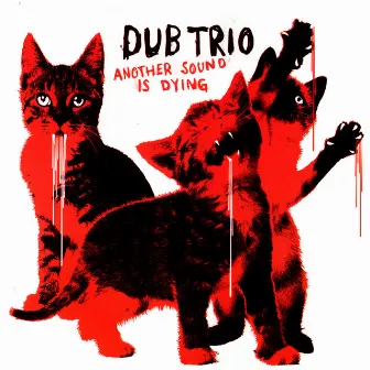 Another Sound Is Dying by Dub Trio