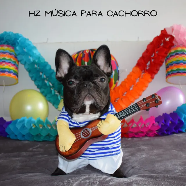 Hz Música para Cachorro