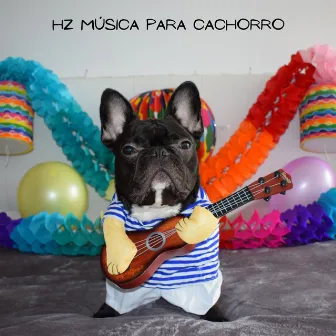 Hz Música para Cachorro by Hz Música para Cachorro