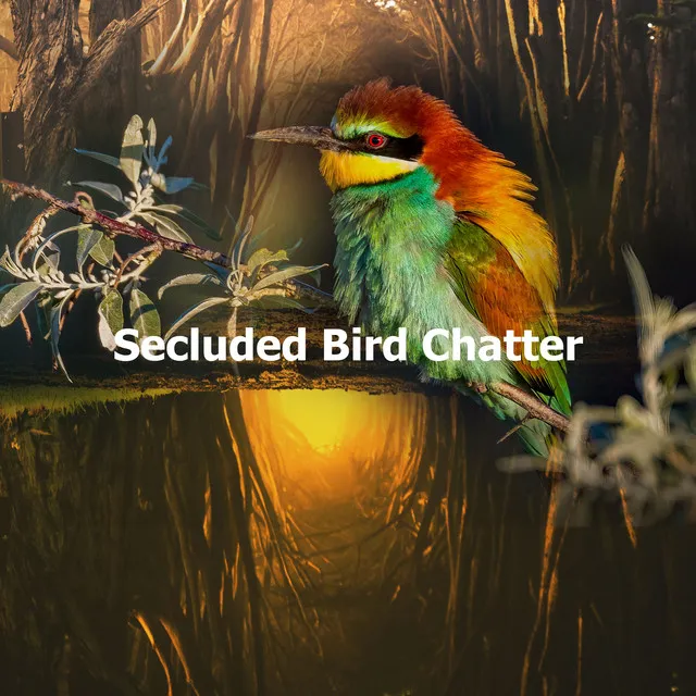 Secluded Bird Chatter