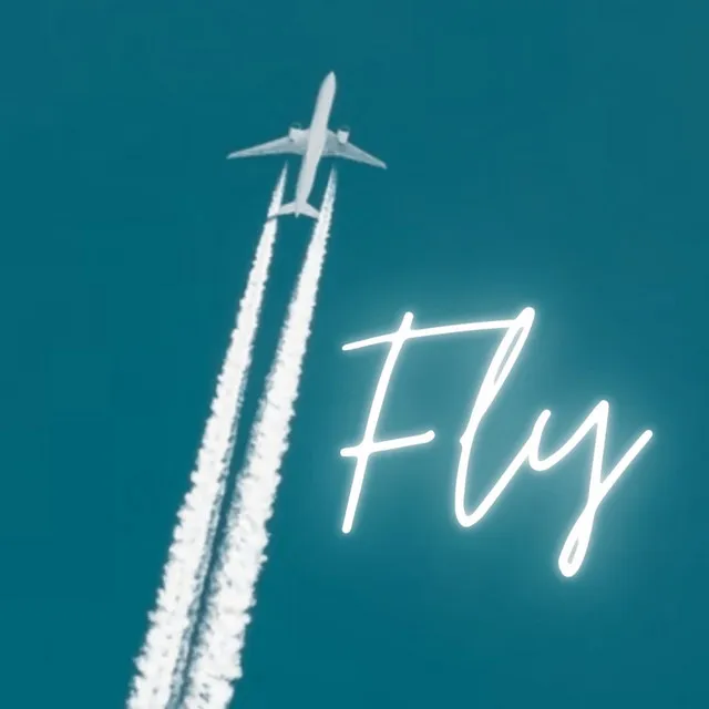 FLY