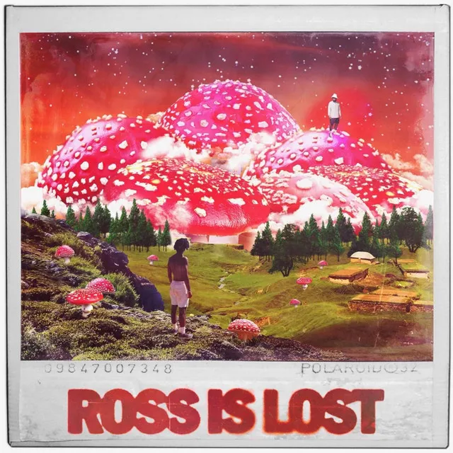 Ross Is Lost