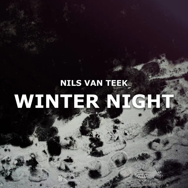 Winter Night