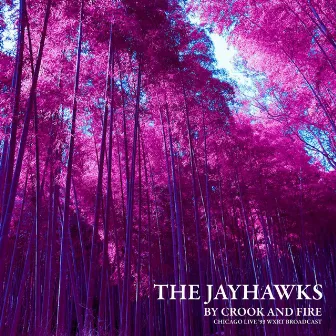 By Crook And Fire (Chicago Live '93) by The Jayhawks