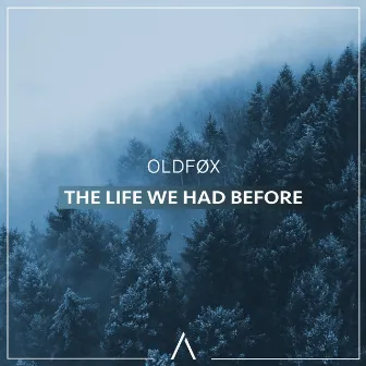 The Life We Had Before by OldFøx