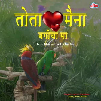 Tota Maina Baghicha Ma by Sanjay Vedu Shinde