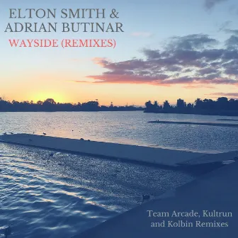 Wayside (Remixes) by Adrian Butinar