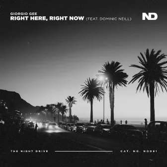 Right Here, Right Now by Dominic Neill