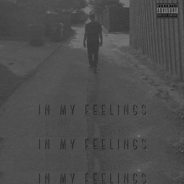 InMyFeelings