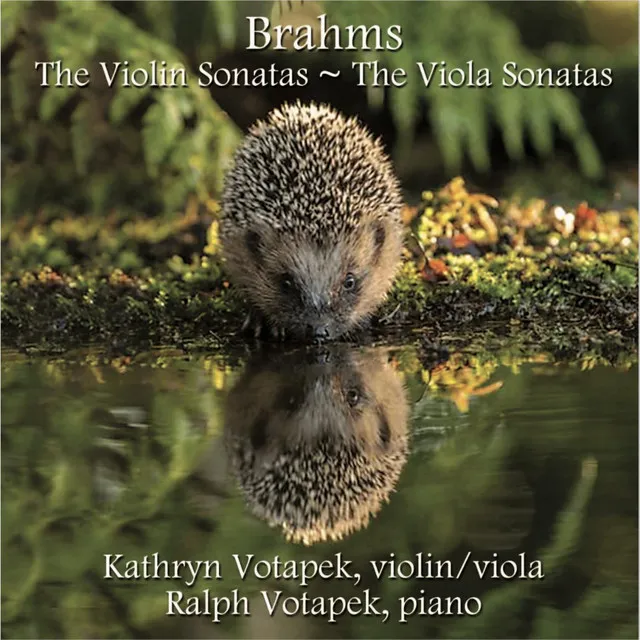 Violin Sonata No. 3 in D Minor, Op. 108: I. Allegro