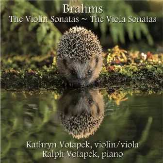 Brahms - The Violin Sonatas ~ The Viola Sonatas by Ralph Votapek