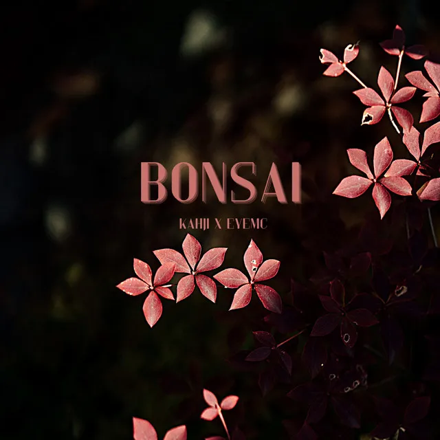 Bonsai