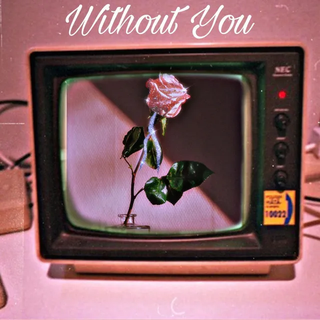 Without You