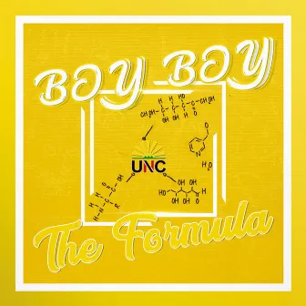 The Formula by Boy Boy