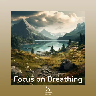 Inner Balance by Focus on Breathing