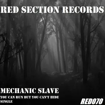 You Can Run But You Can't Hide by Mechanic Slave