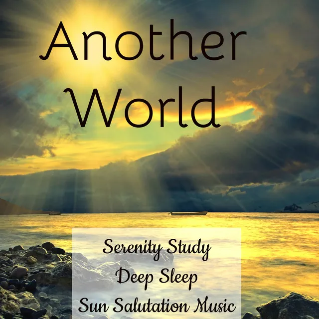 Sun Salutations Yoga Music Academy