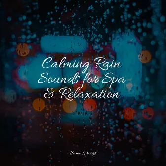 Calming Rain Sounds for Spa & Relaxation by Musica Reiki