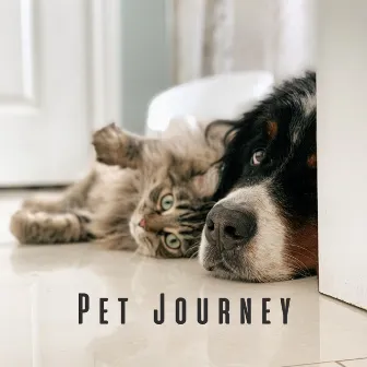 Pet Journey: Lofi Vibes and Ambient Sounds for Restful Pet Hours by Pet Music