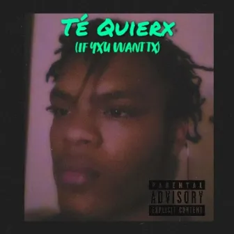 TÉ QUIERX (IF YXU WANT TX) by TDK T-ẞEEZLE