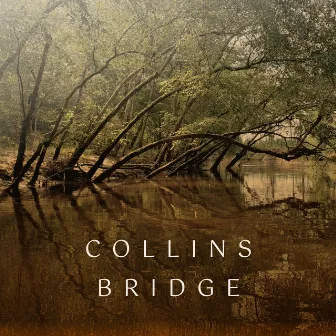 Collins Bridge by Erin Williams Banks