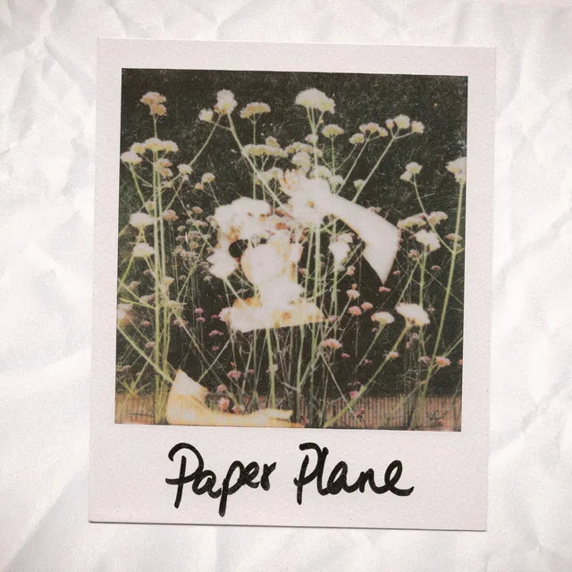 Paper Plane