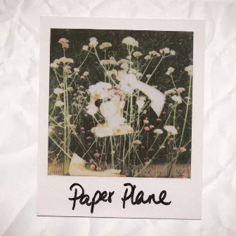 Paper Plane by Phoebe Ray