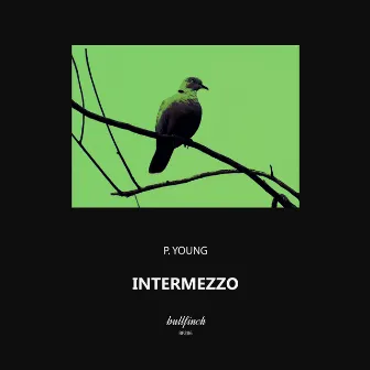 Intermezzo by P.Young