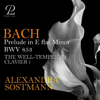 Bach: The Well-Tempered Clavier, Vol. I, Prelude and Fugue No. 8 in E-Flat Minor, BWV 853: I. Prelude by Alexandra Sostmann