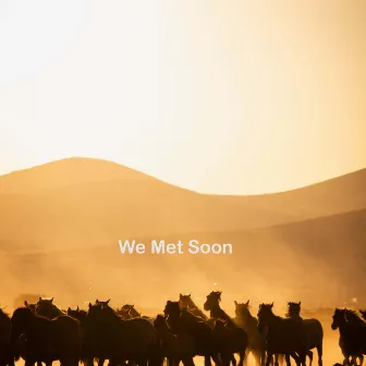 We Met Soon by Saba